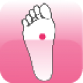 Reflexology chart