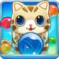 Bubble witch android
